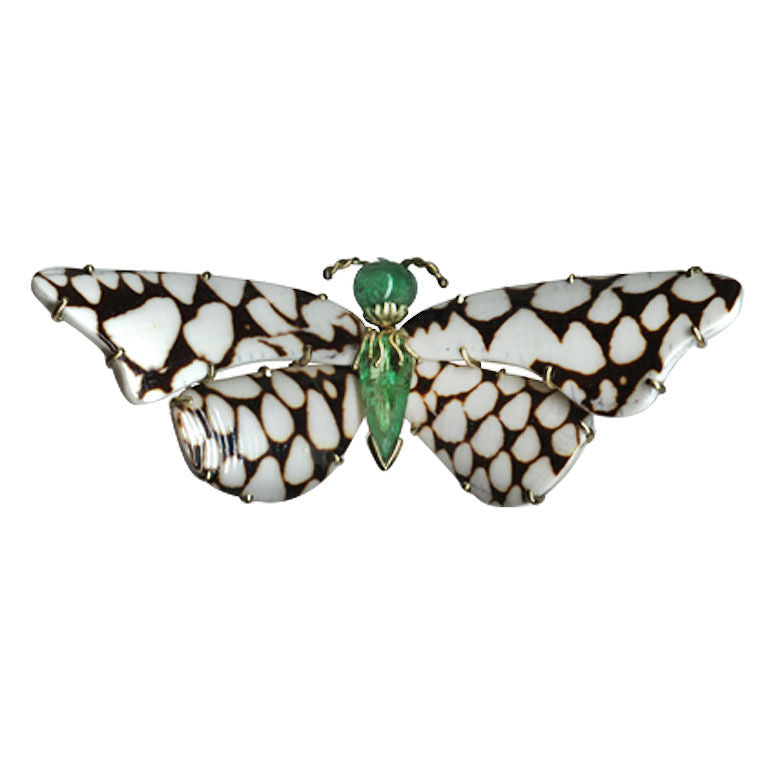 Cone Shell Butterfly Pin