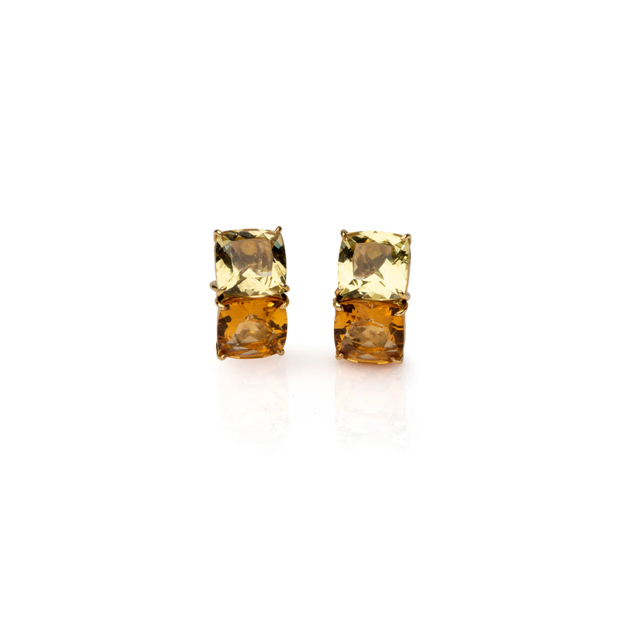 Small Double stone Earrings